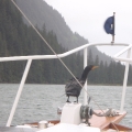 entertainment on a grey rainy day Tosina Bay